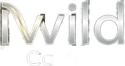 Iwild  Casino